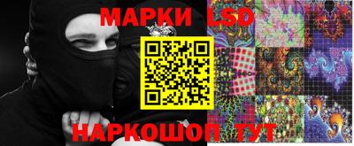дмт Краснодар