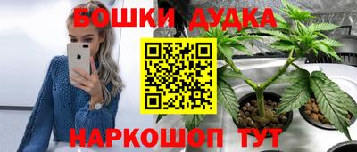 дмт Краснодар
